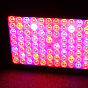 Full Spectrum 1000W Plant Grow light